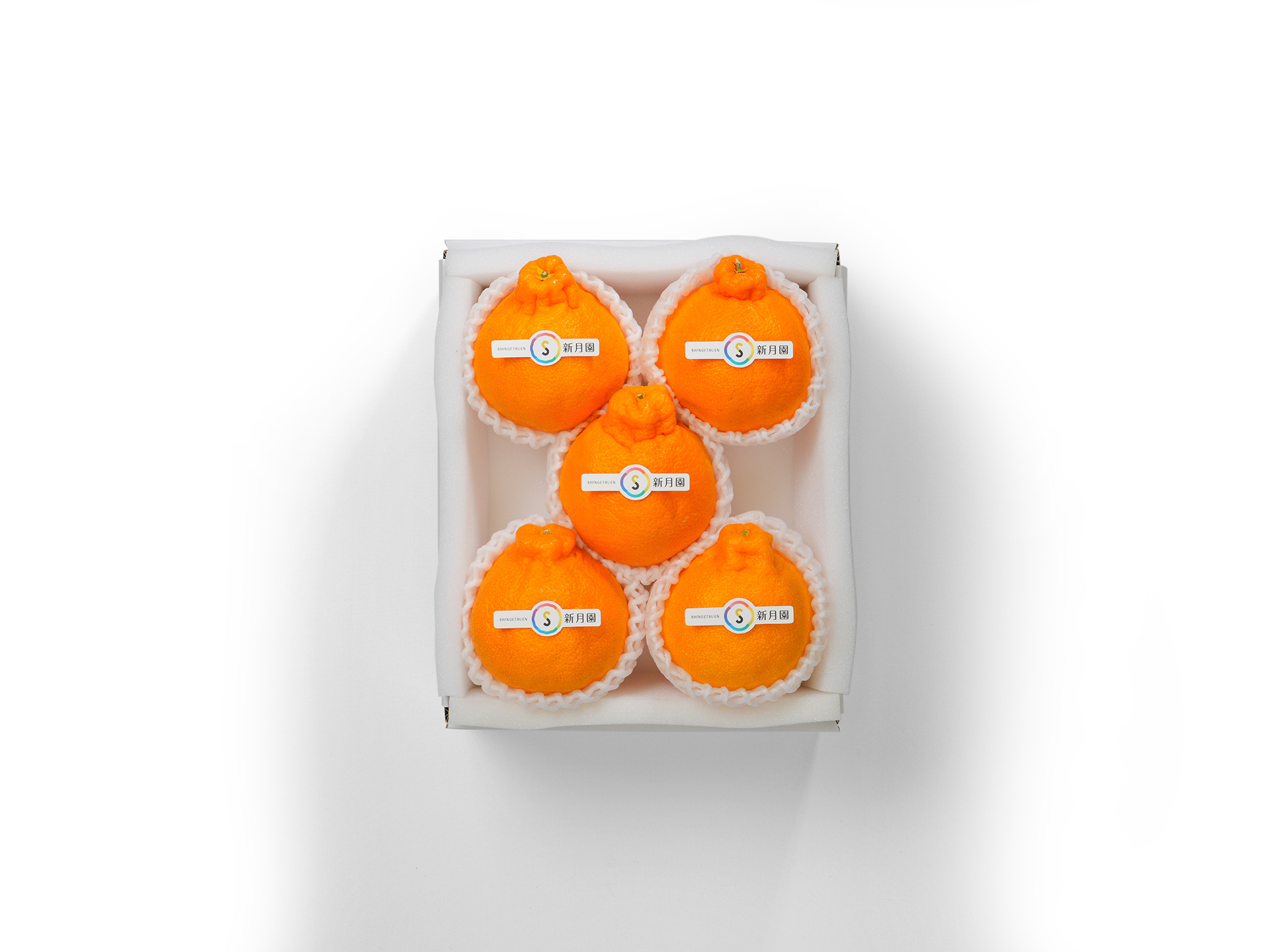 熊本産　デコポン